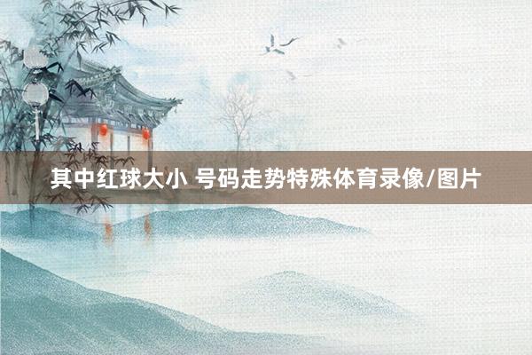 其中红球大小 号码走势特殊体育录像/图片