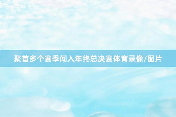 聚首多个赛季闯入年终总决赛体育录像/图片