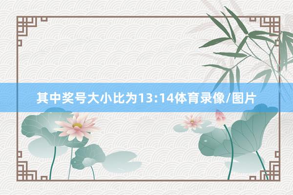其中奖号大小比为13:14体育录像/图片