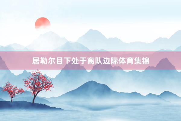 居勒尔目下处于离队边际体育集锦