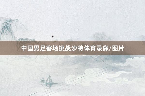 中国男足客场挑战沙特体育录像/图片