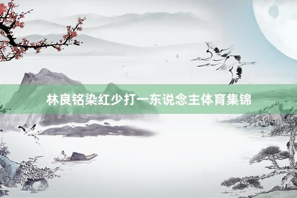 林良铭染红少打一东说念主体育集锦
