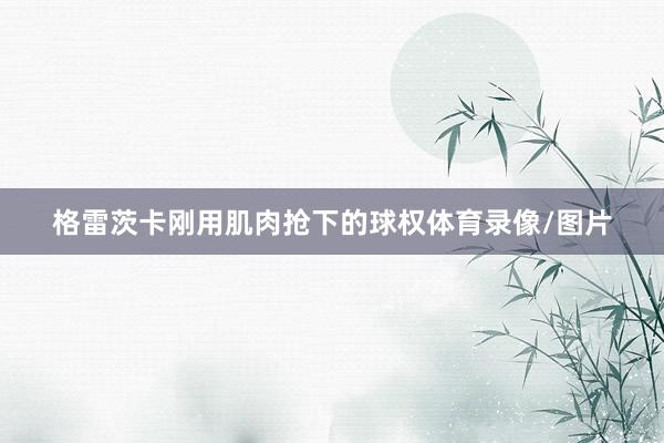 格雷茨卡刚用肌肉抢下的球权体育录像/图片