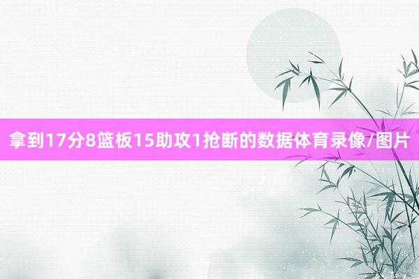拿到17分8篮板15助攻1抢断的数据体育录像/图片