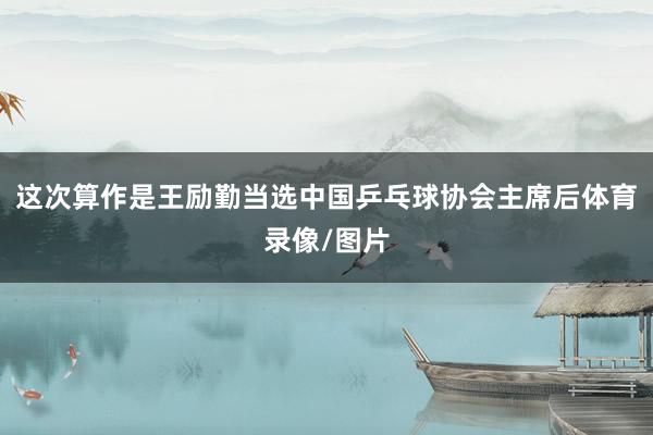 这次算作是王励勤当选中国乒乓球协会主席后体育录像/图片