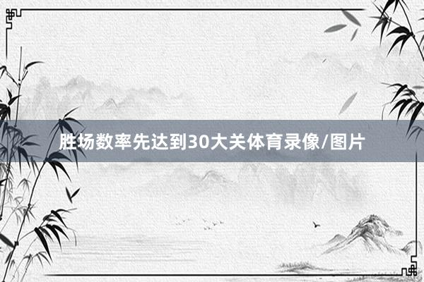 胜场数率先达到30大关体育录像/图片