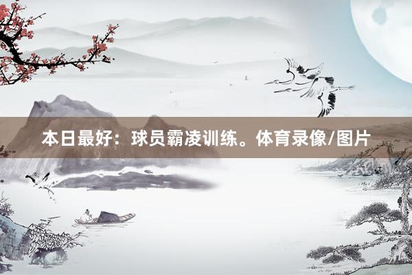 本日最好：球员霸凌训练。体育录像/图片