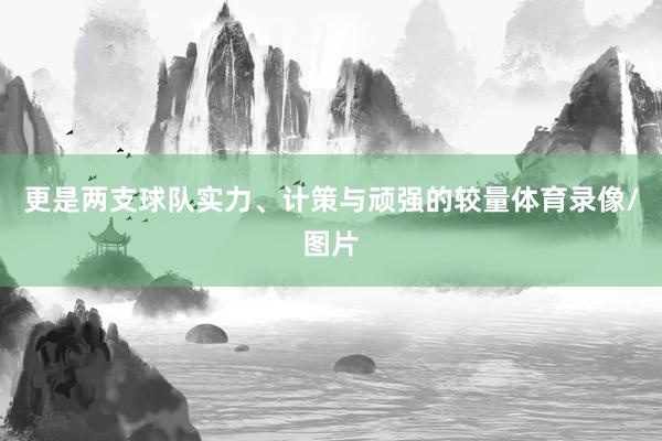 更是两支球队实力、计策与顽强的较量体育录像/图片