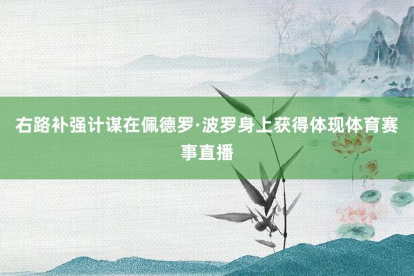 右路补强计谋在佩德罗·波罗身上获得体现体育赛事直播