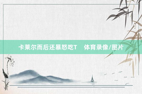 卡莱尔而后还暴怒吃T    体育录像/图片