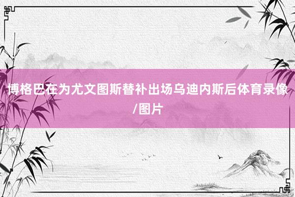 博格巴在为尤文图斯替补出场乌迪内斯后体育录像/图片