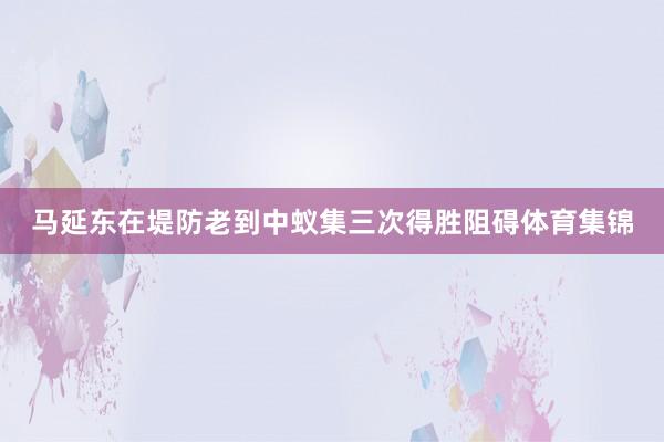 马延东在堤防老到中蚁集三次得胜阻碍体育集锦