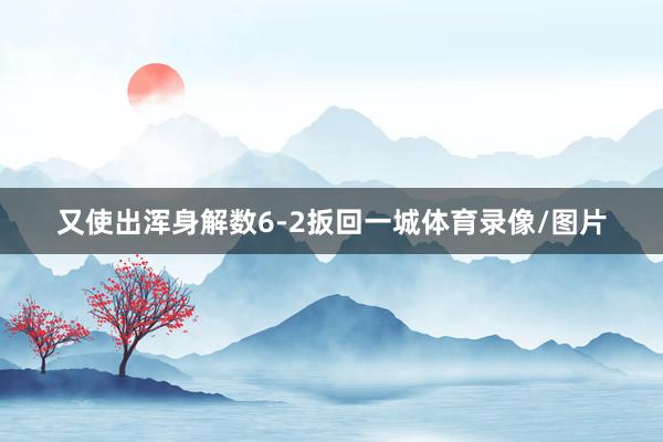 又使出浑身解数6-2扳回一城体育录像/图片