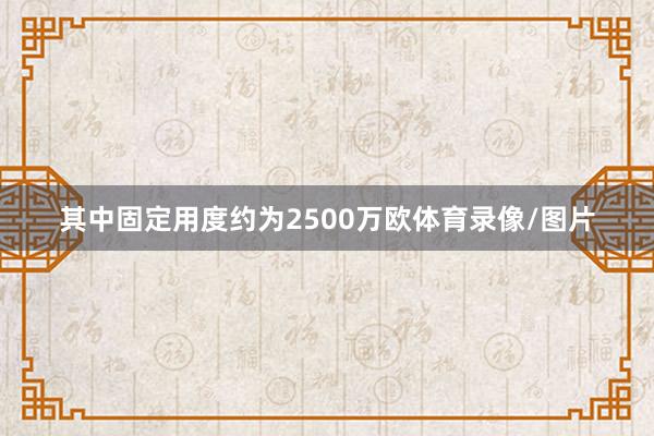 其中固定用度约为2500万欧体育录像/图片