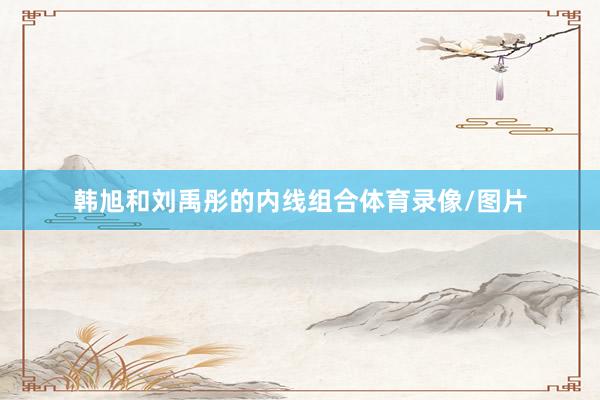 韩旭和刘禹彤的内线组合体育录像/图片