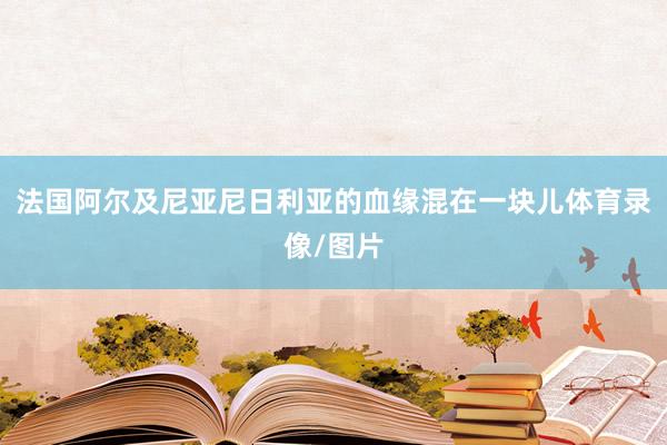 法国阿尔及尼亚尼日利亚的血缘混在一块儿体育录像/图片