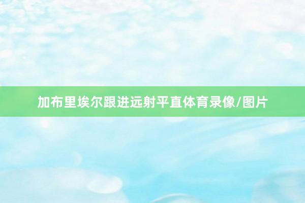 加布里埃尔跟进远射平直体育录像/图片