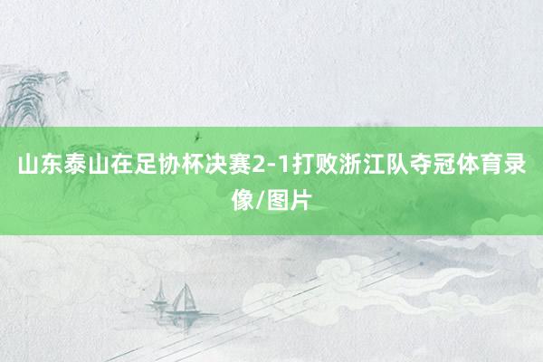 山东泰山在足协杯决赛2-1打败浙江队夺冠体育录像/图片