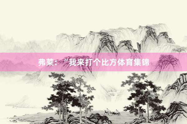 弗莱：“我来打个比方体育集锦