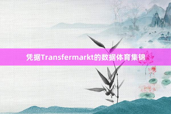 凭据Transfermarkt的数据体育集锦