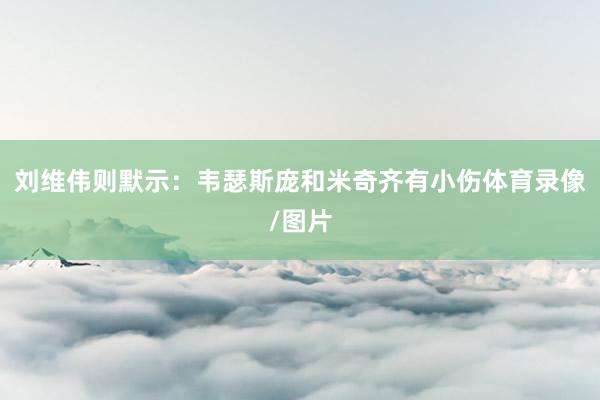 刘维伟则默示：韦瑟斯庞和米奇齐有小伤体育录像/图片