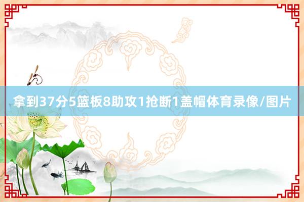 拿到37分5篮板8助攻1抢断1盖帽体育录像/图片