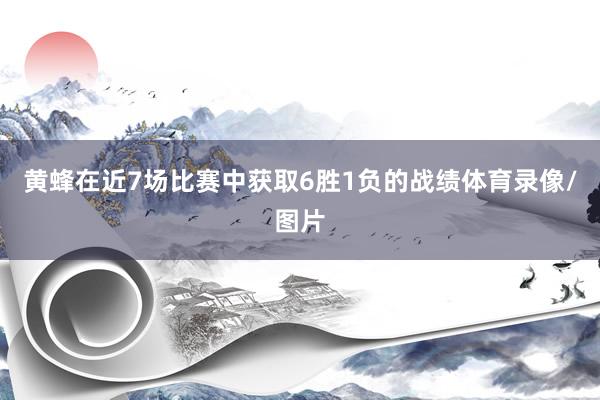 黄蜂在近7场比赛中获取6胜1负的战绩体育录像/图片