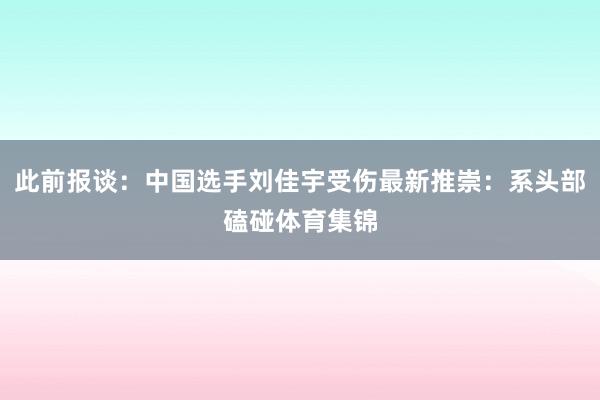 此前报谈：中国选手刘佳宇受伤最新推崇：系头部磕碰体育集锦
