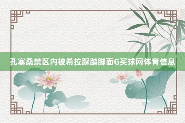 孔塞桑禁区内被希拉踩踏脚面G买球网体育信息